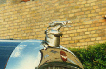 Radiator Cap