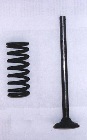 Valve and Spring