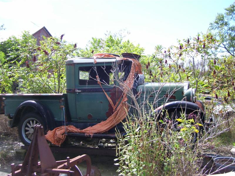 1931 Willys Pickup Model C113 - America